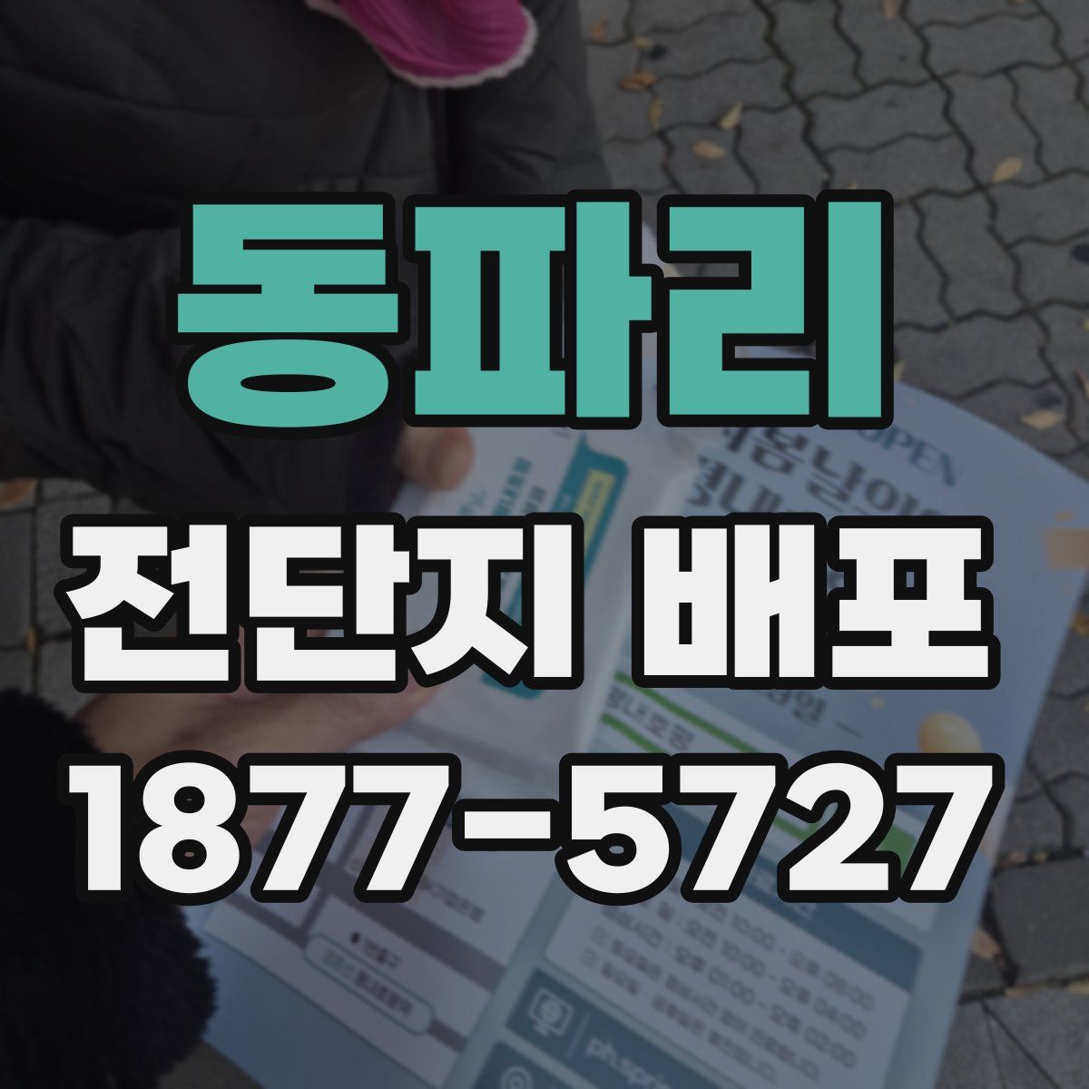 동파리 전단지 배포