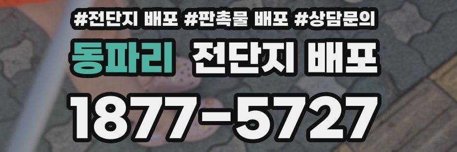 동파리 전단지 배포