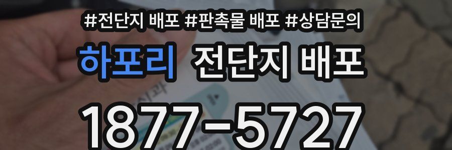 하포리 전단지 배포