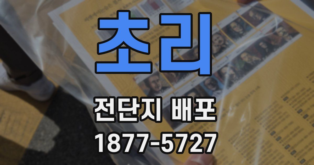 초리 전단지 배포