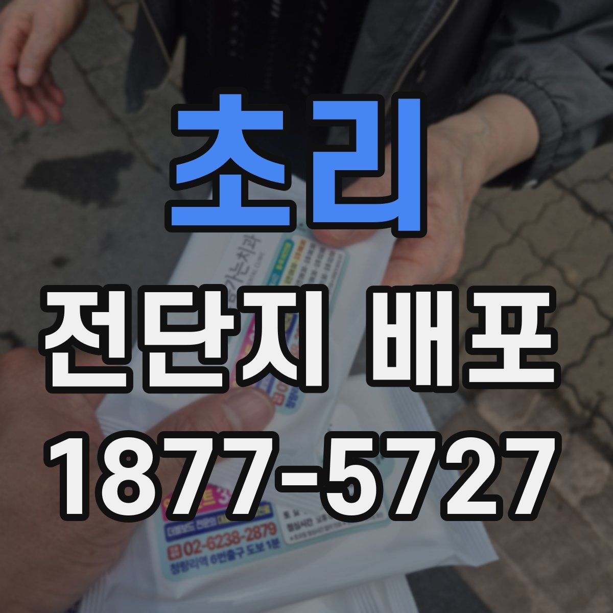 초리 전단지 배포