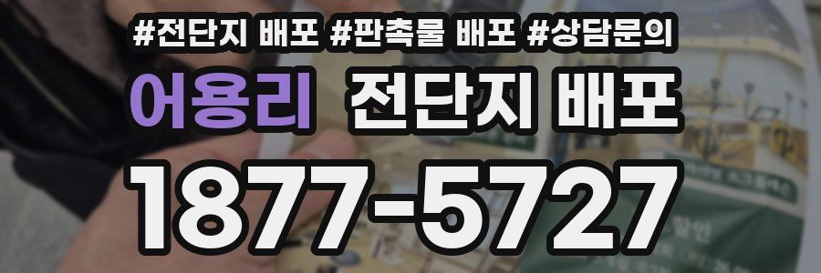 어용리 전단지 배포
