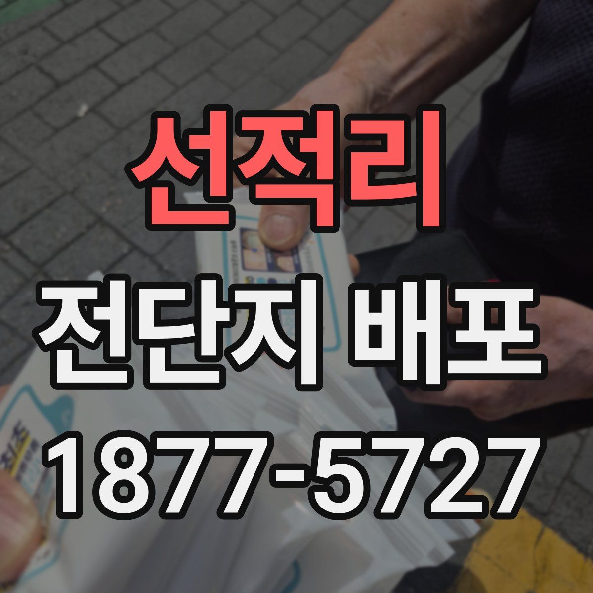 선적리 전단지 배포