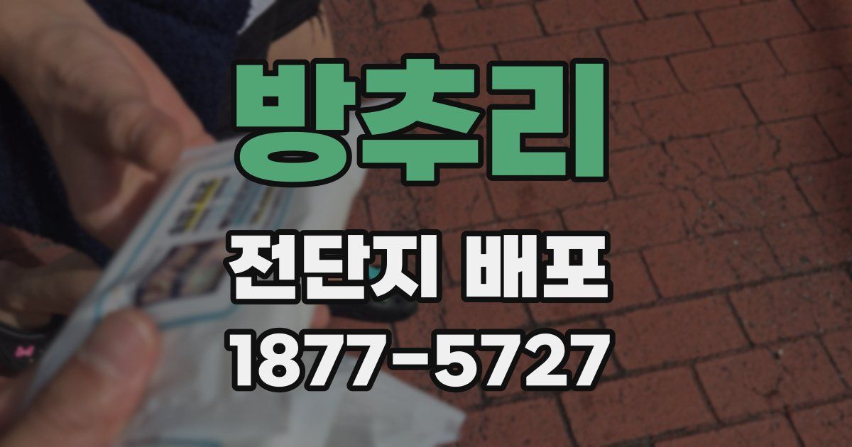 방추리 전단지 배포