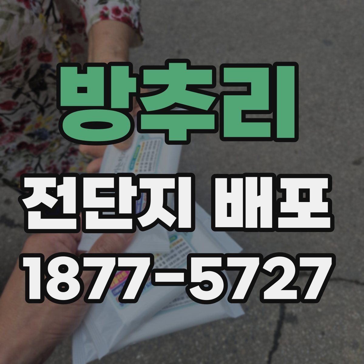 방추리 전단지 배포