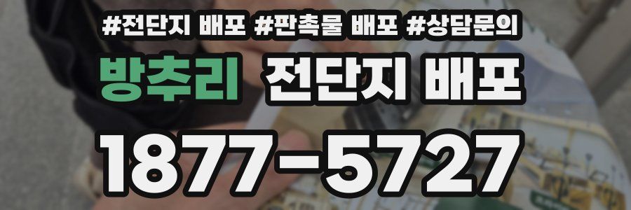 방추리 전단지 배포