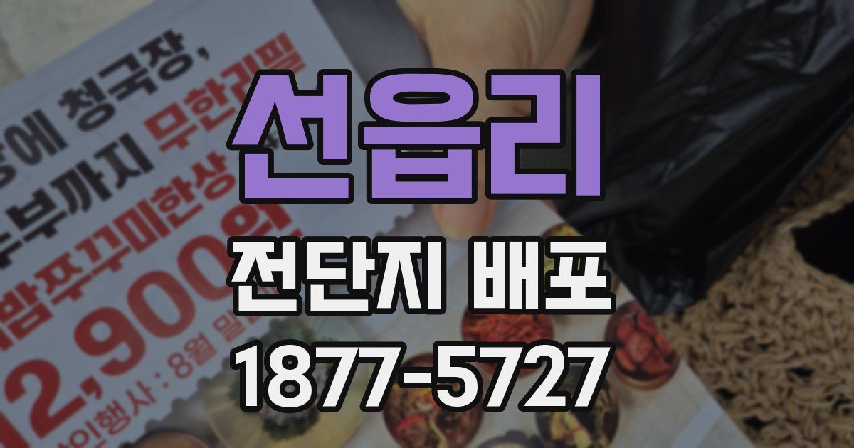 선읍리 전단지 배포
