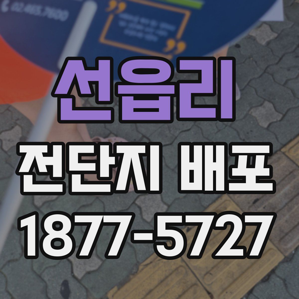 선읍리 전단지 배포