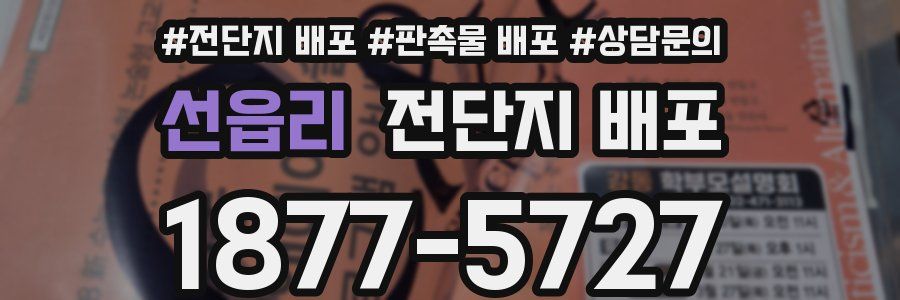 선읍리 전단지 배포