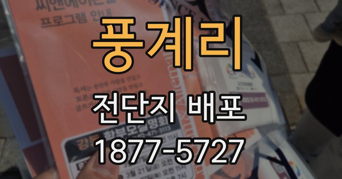 풍계리 전단지 배포