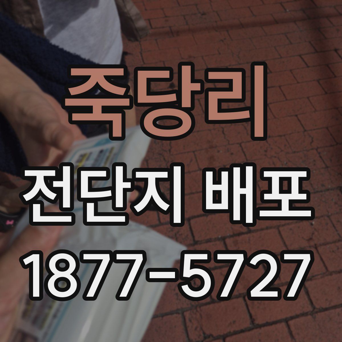 죽당리 전단지 배포