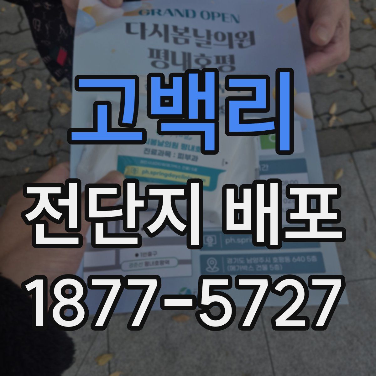 고백리 전단지 배포