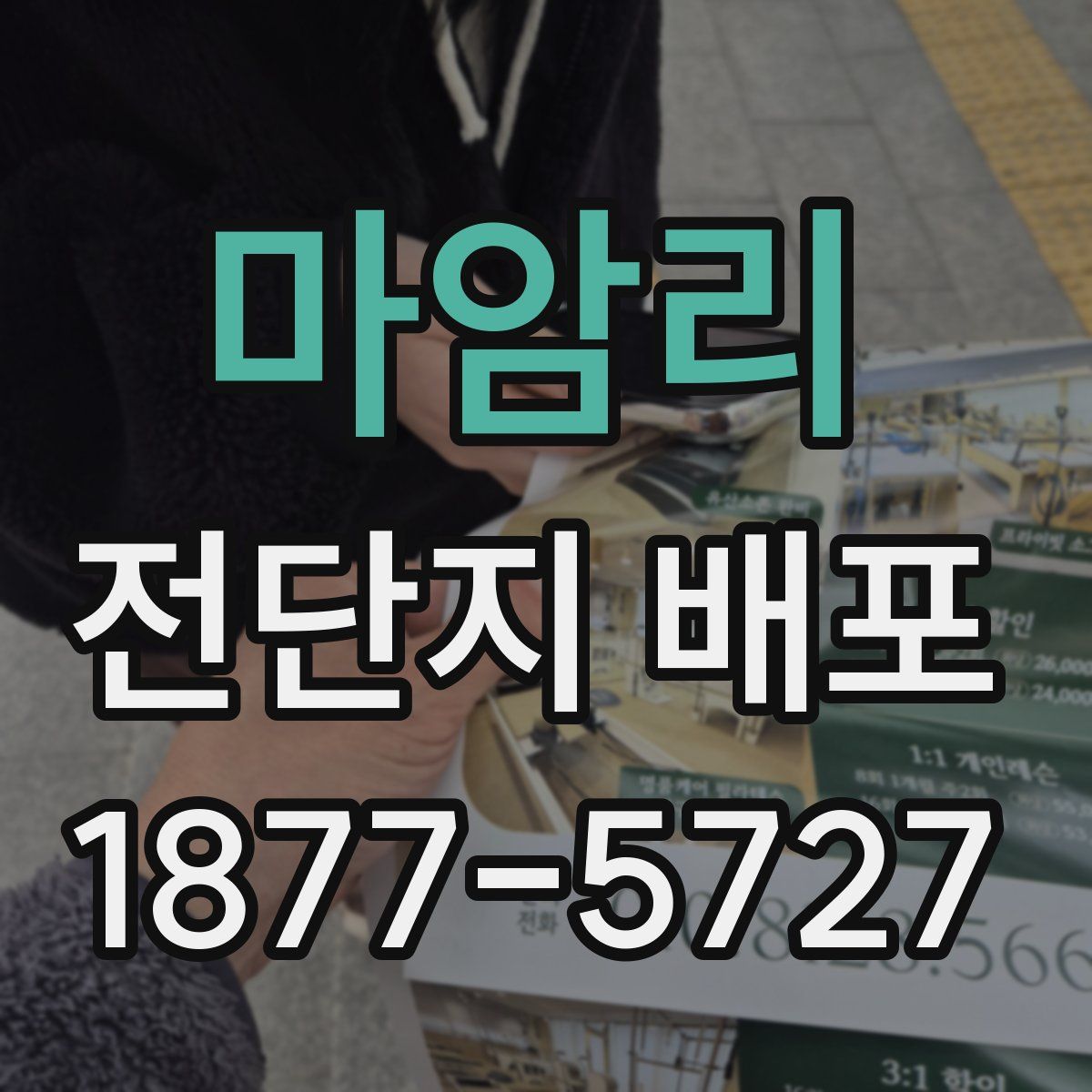 마암리 전단지 배포