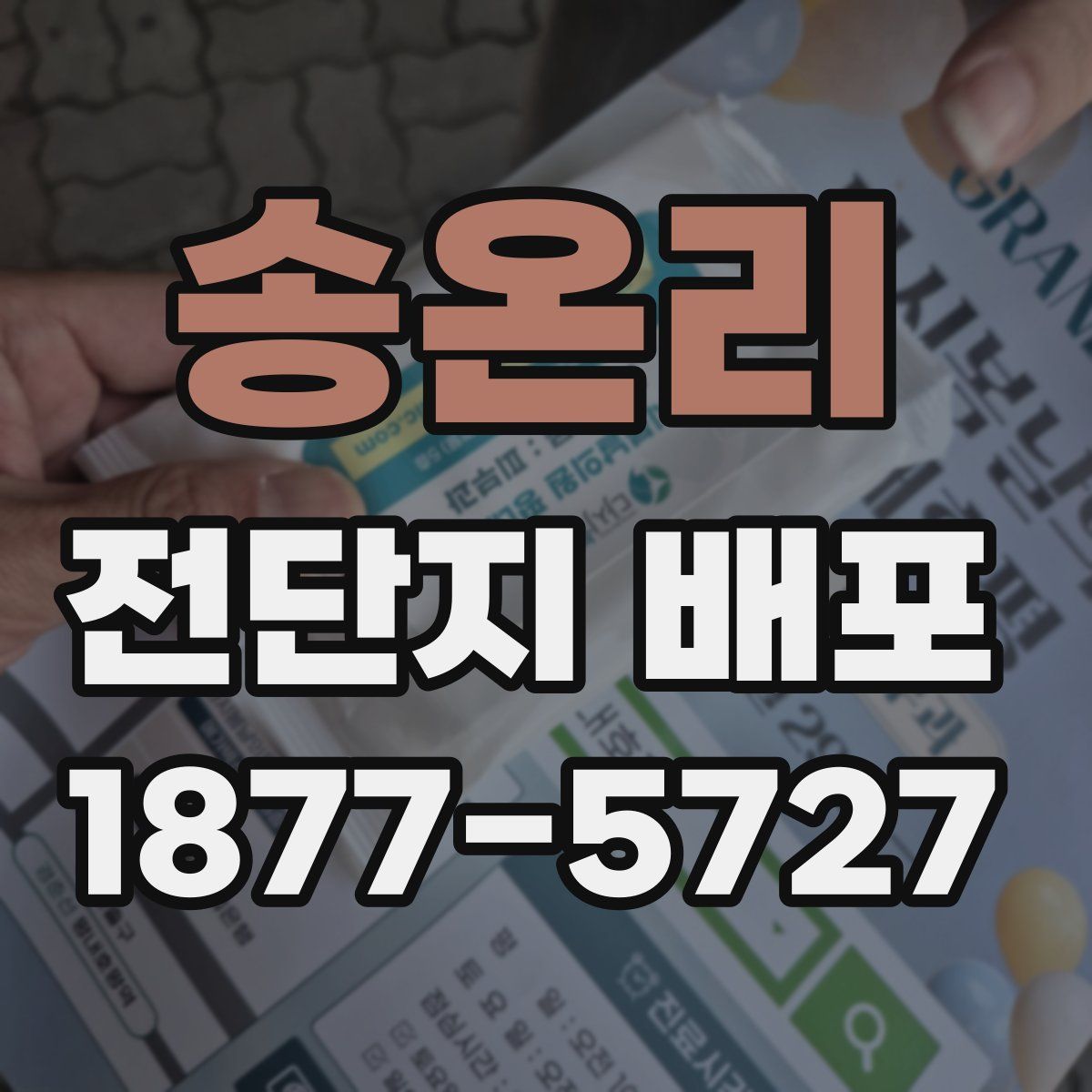 송온리 전단지 배포