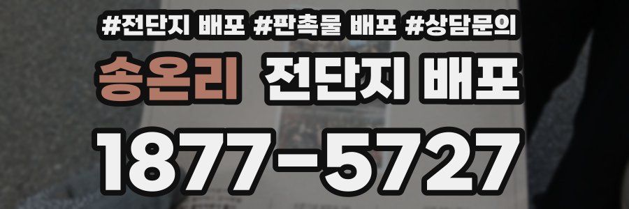 송온리 전단지 배포