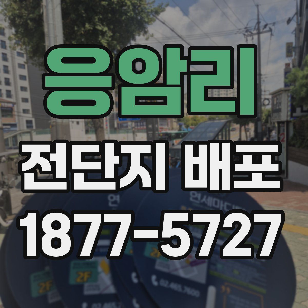 응암리 전단지 배포