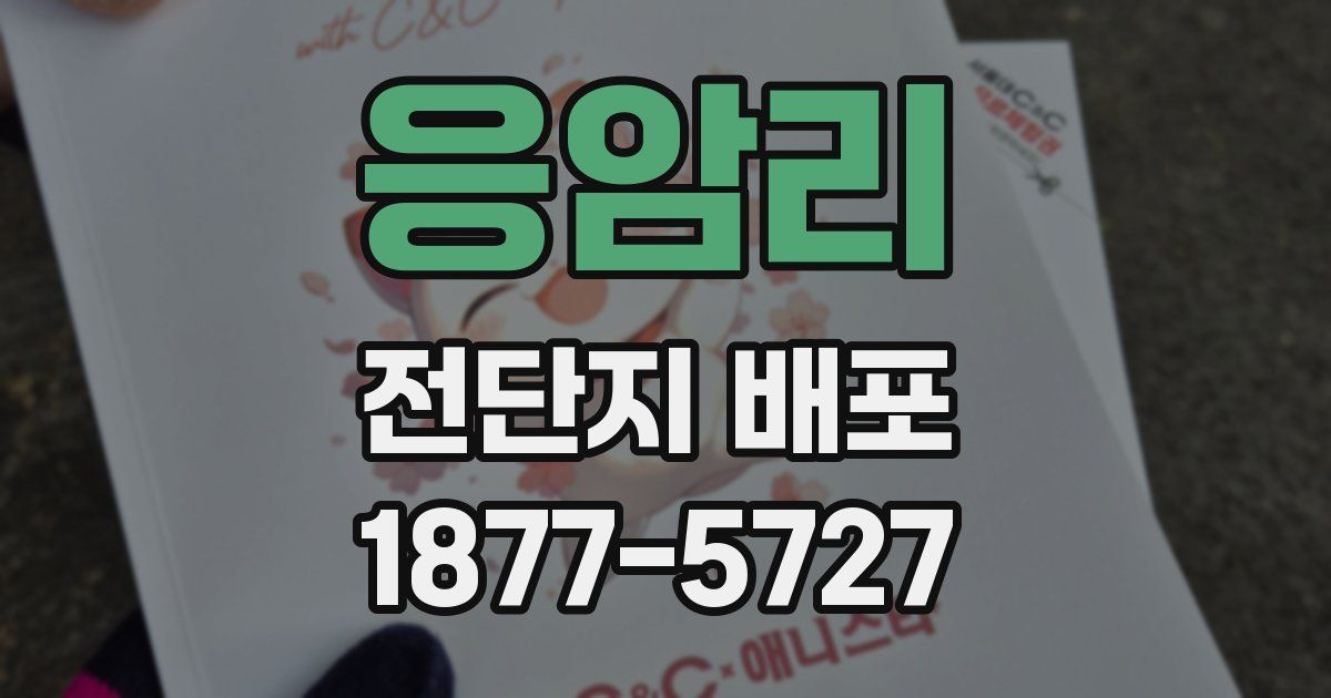 응암리 전단지 배포