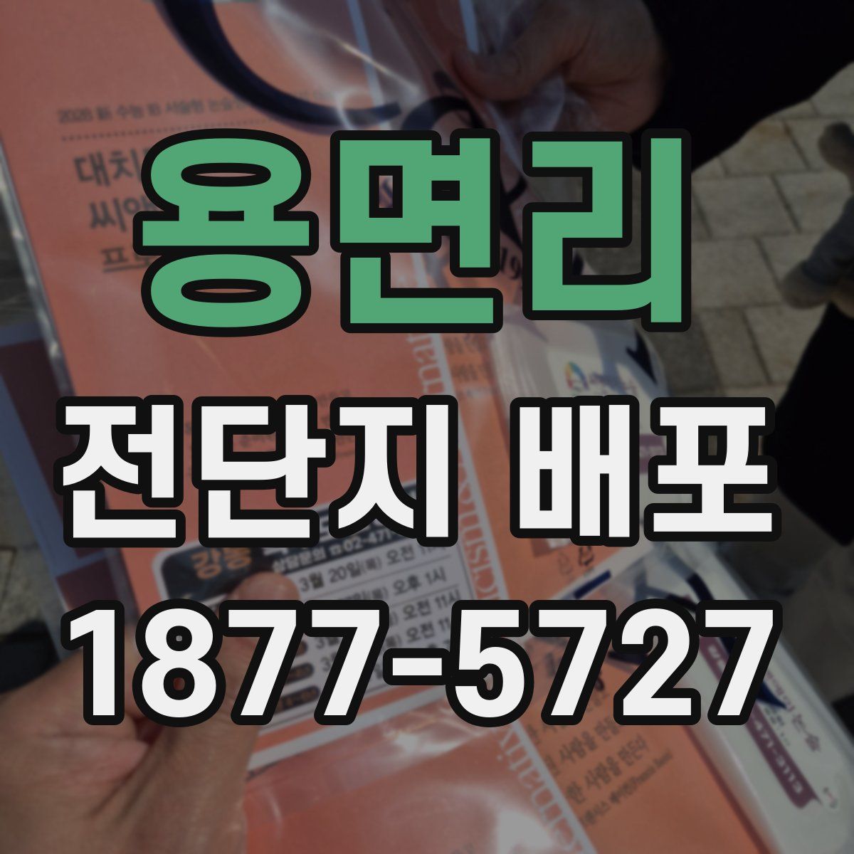 용면리 전단지 배포