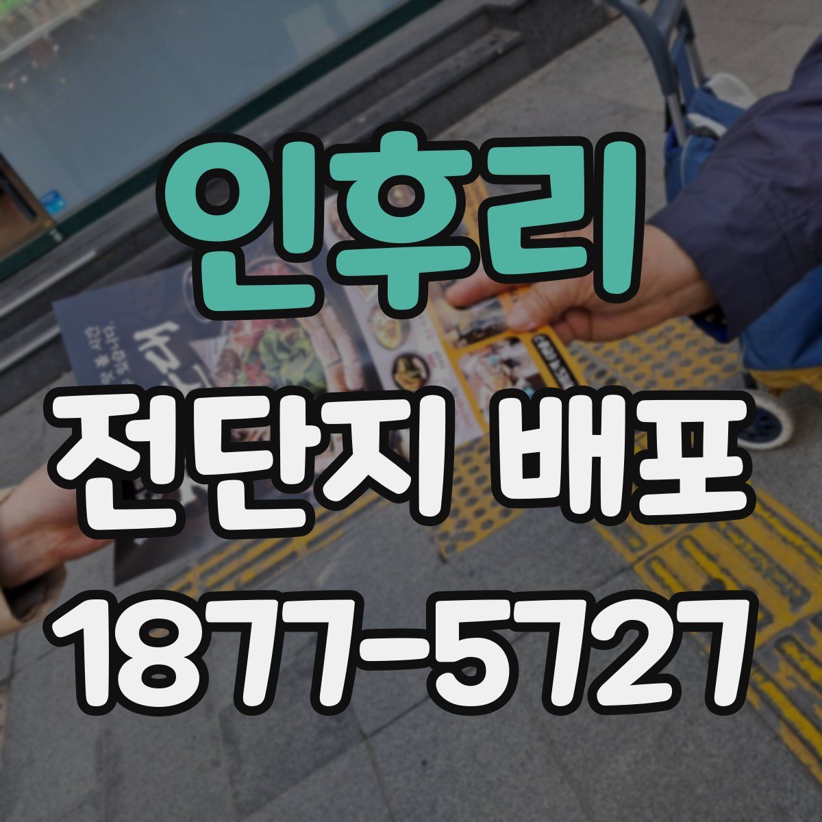 인후리 전단지 배포
