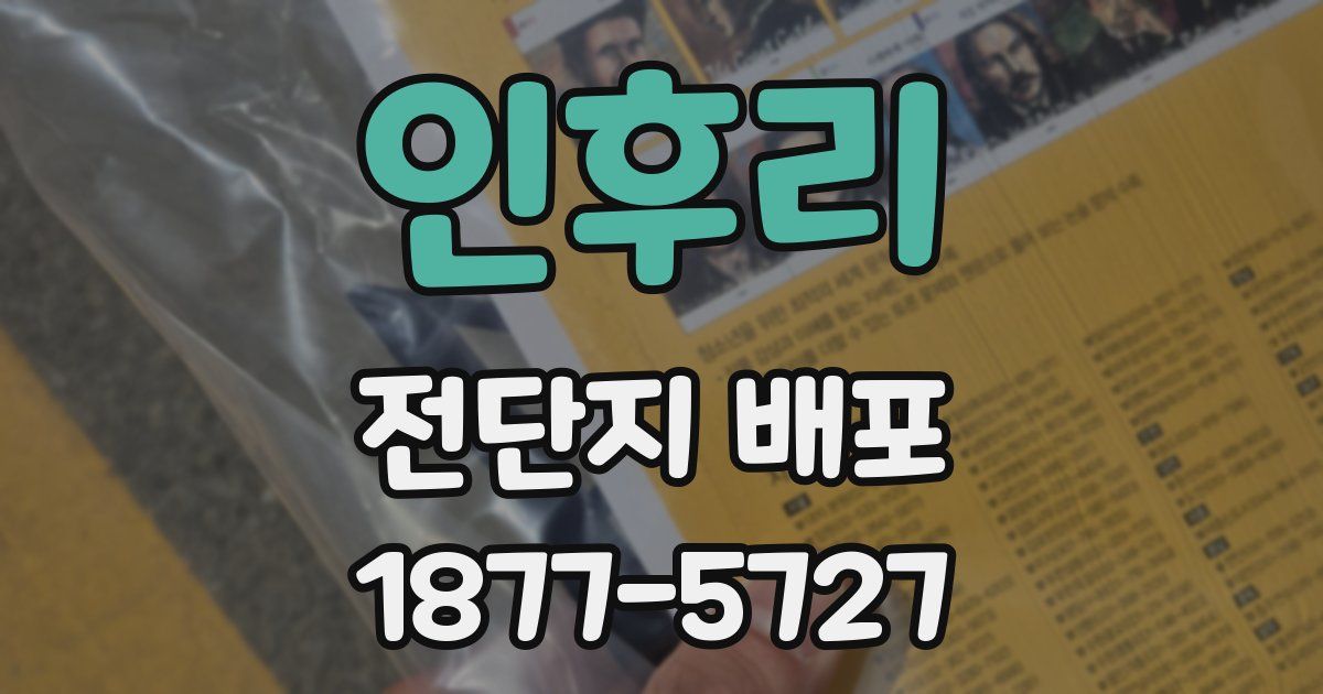 인후리 전단지 배포