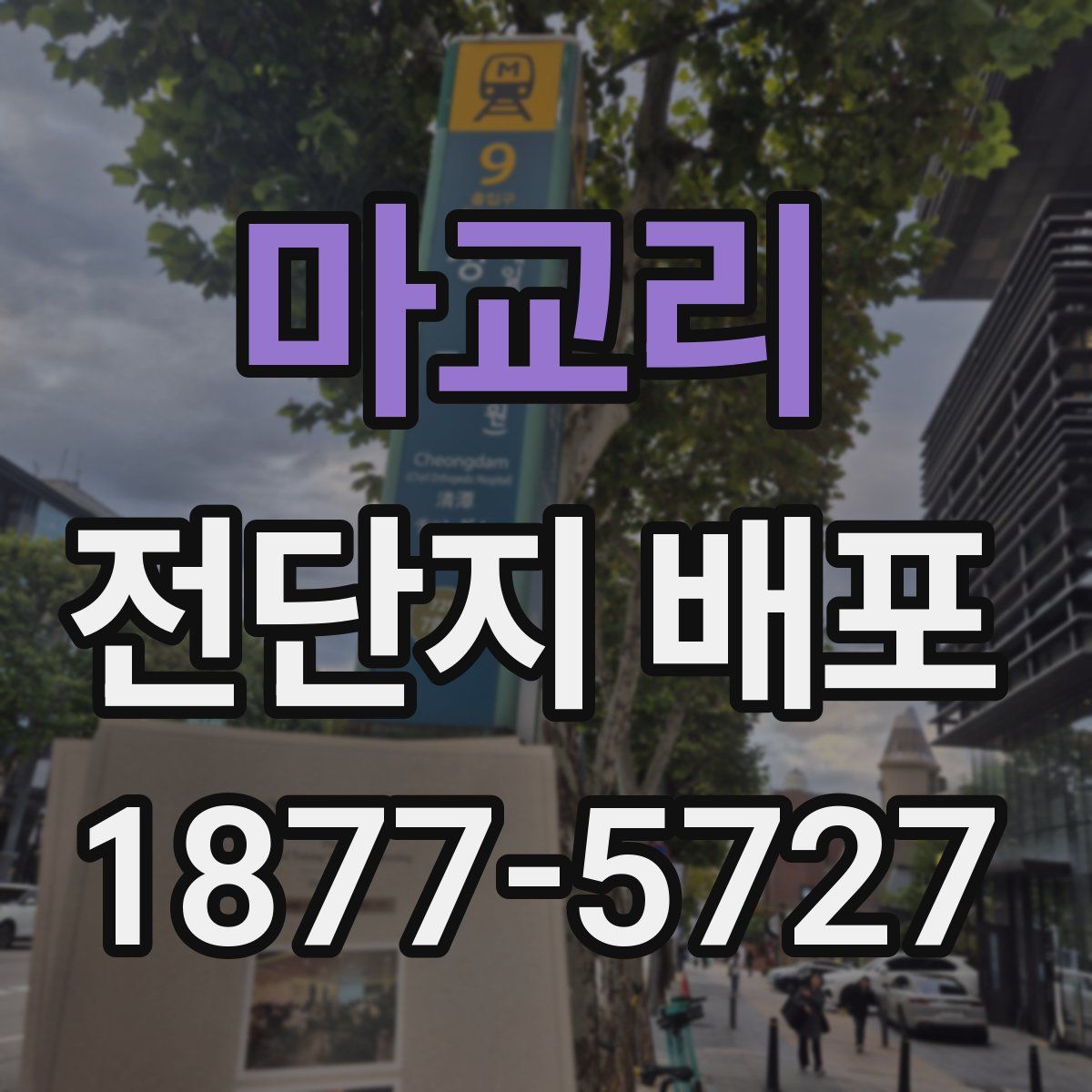 마교리 전단지 배포