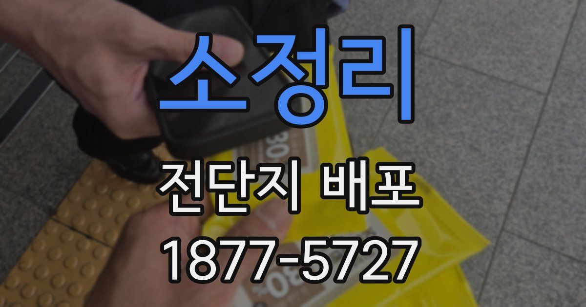 소정리 전단지 배포
