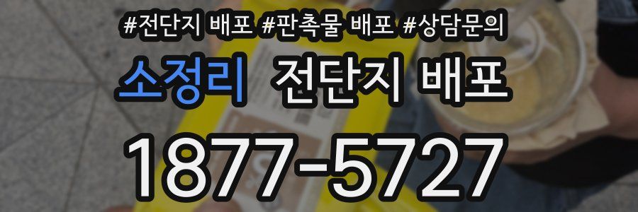 소정리 전단지 배포