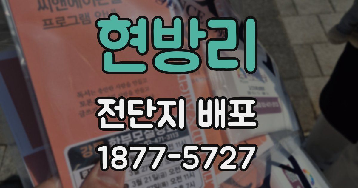 현방리 전단지 배포