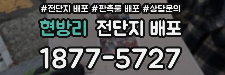 현방리 전단지 배포
