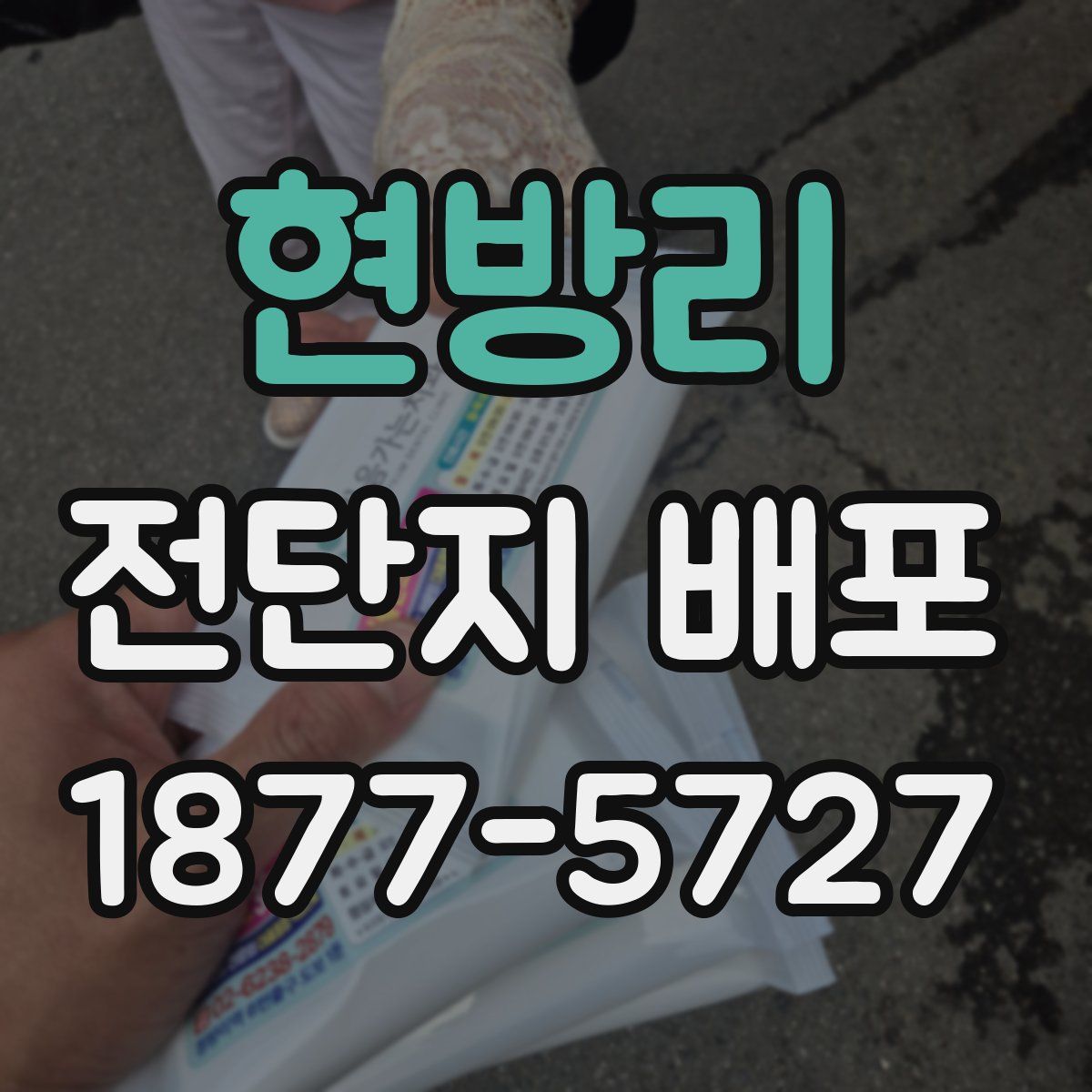 현방리 전단지 배포