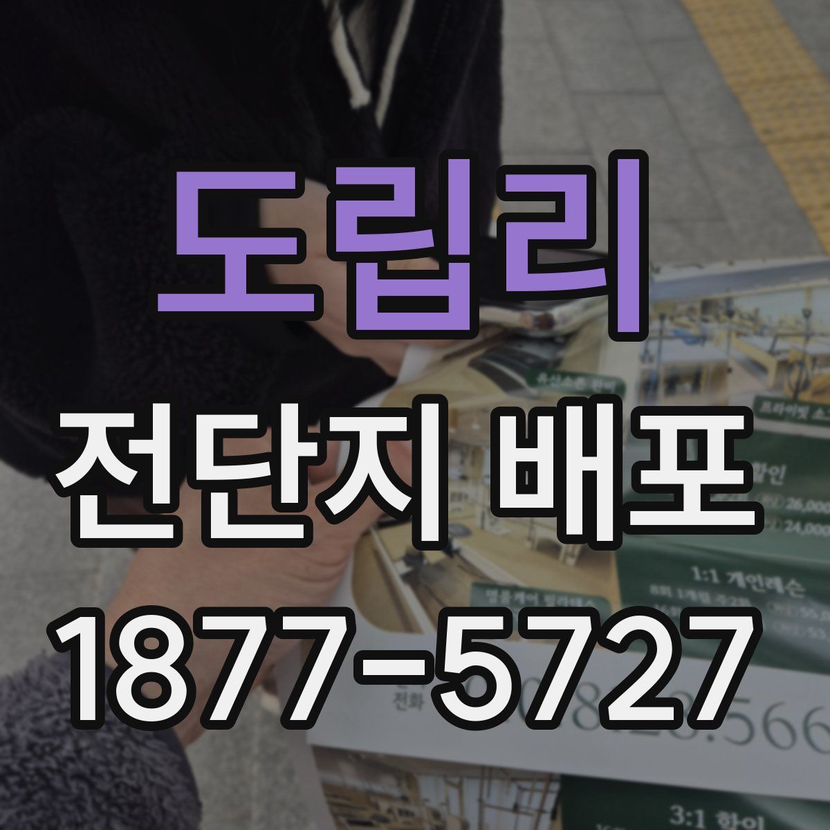 도립리 전단지 배포