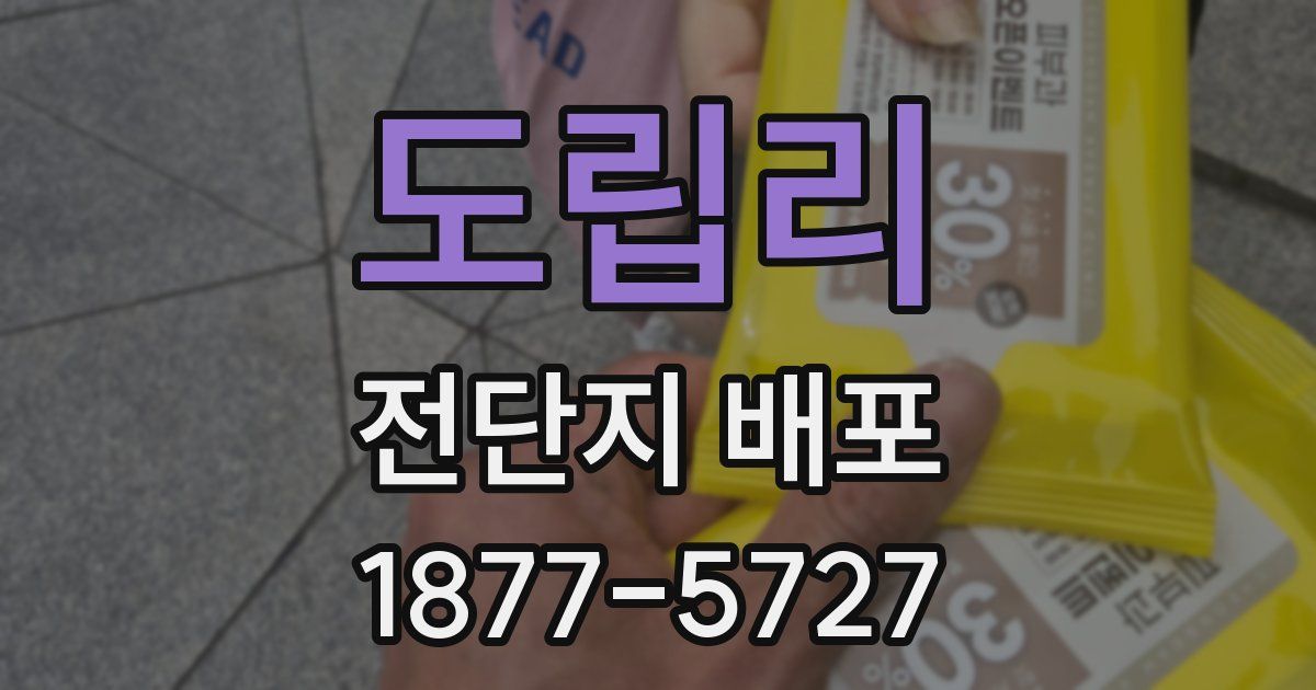 도립리 전단지 배포