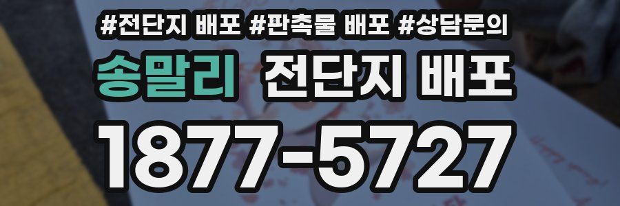 송말리 전단지 배포