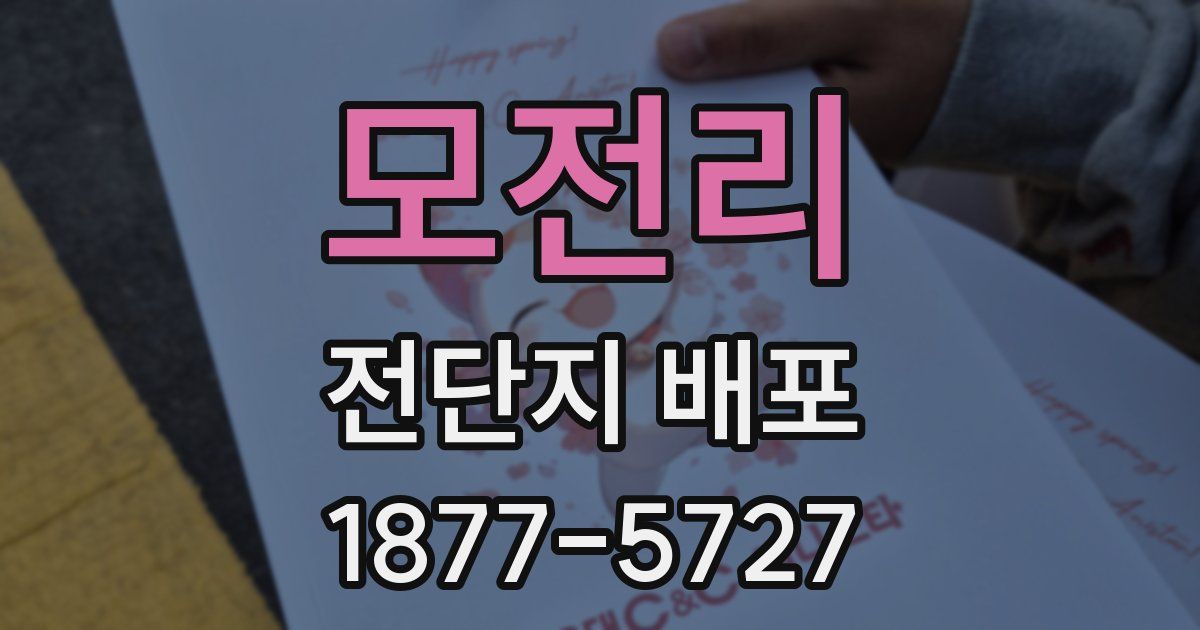모전리 전단지 배포