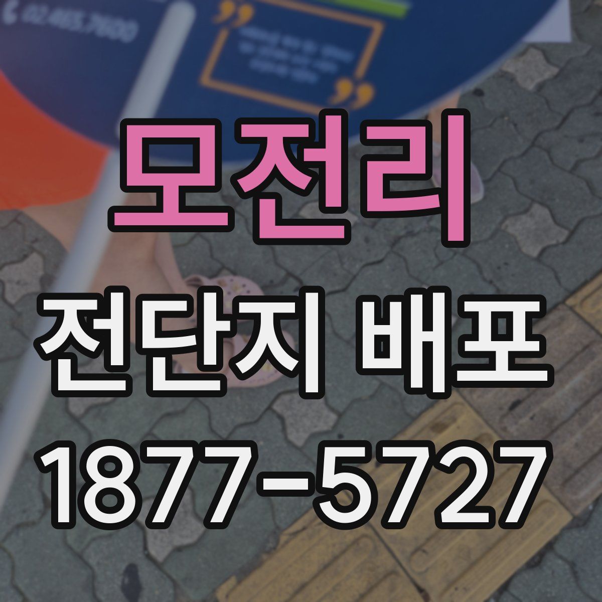 모전리 전단지 배포