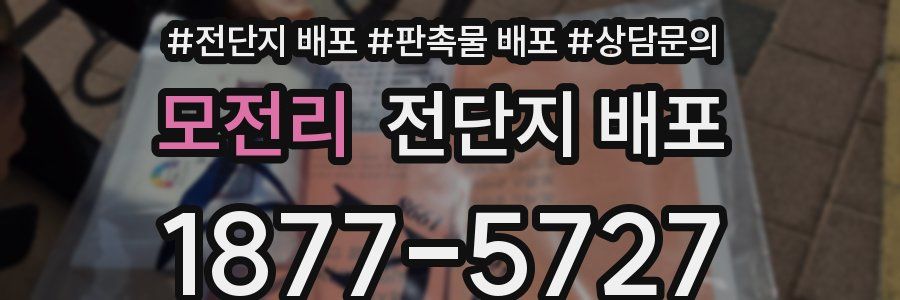 모전리 전단지 배포