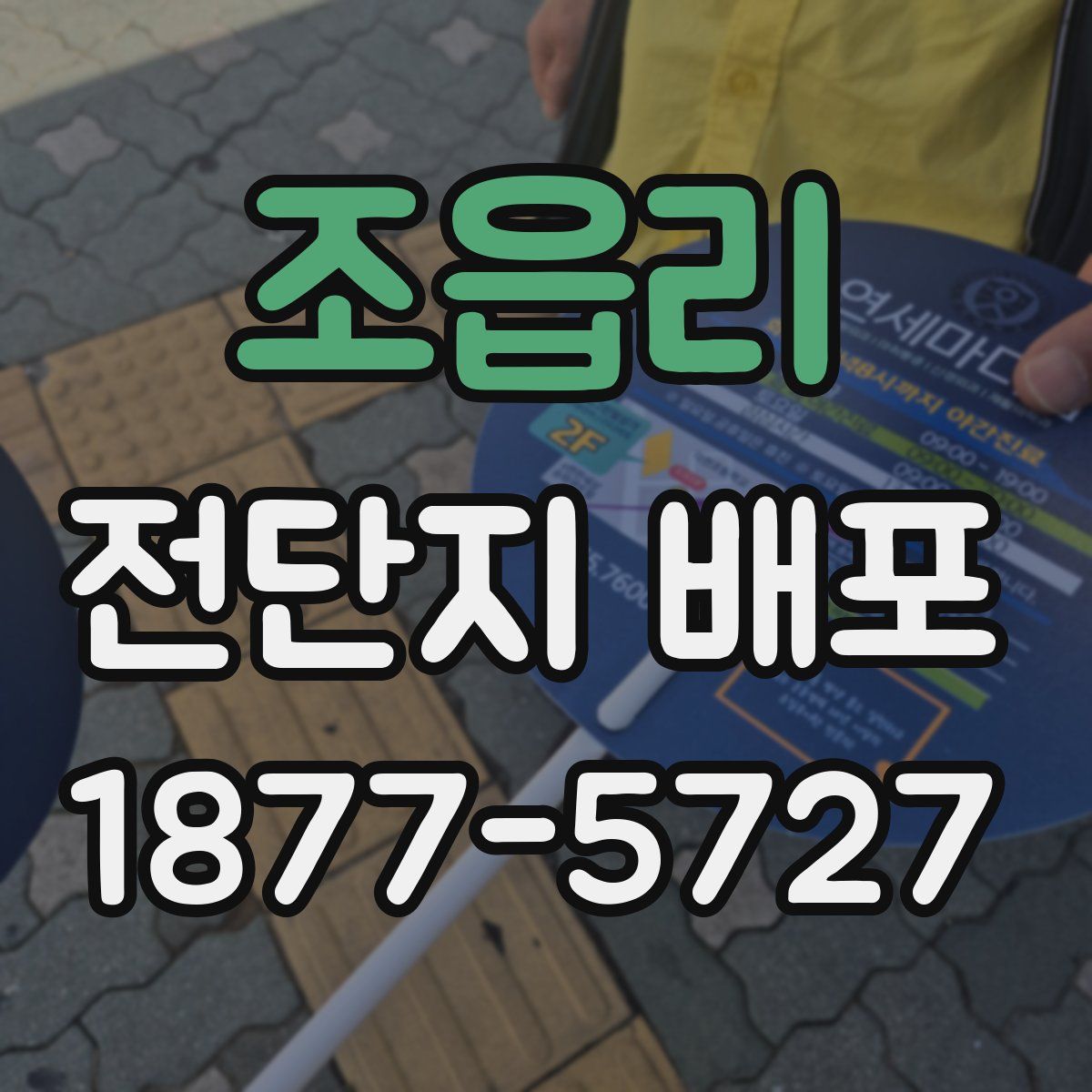조읍리 전단지 배포