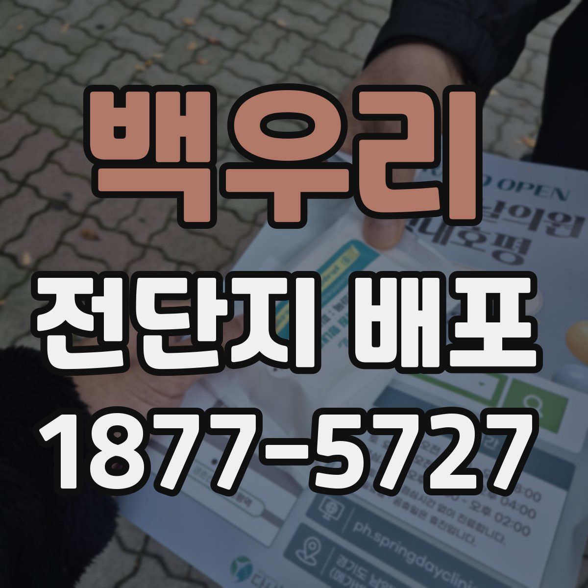 백우리 전단지 배포