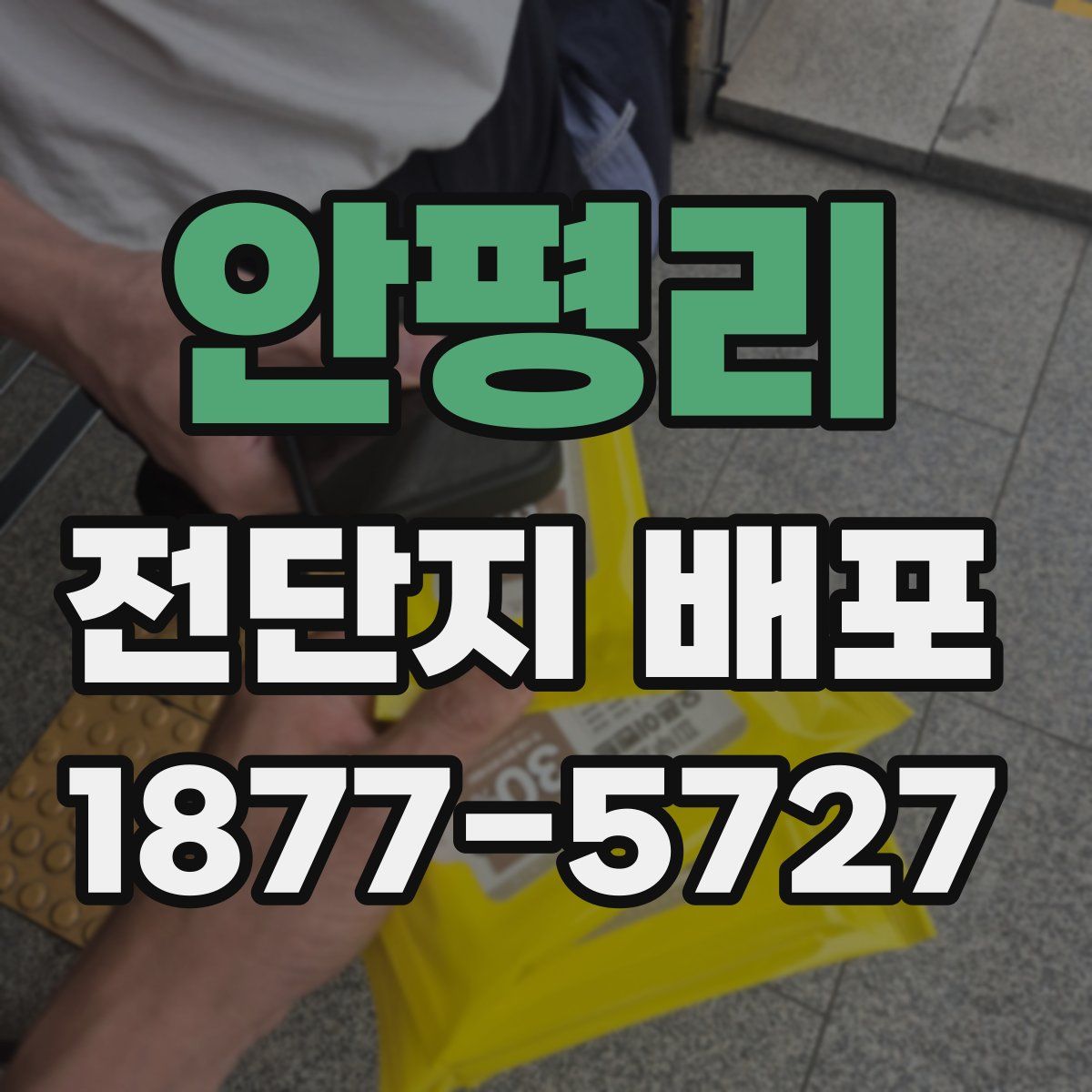 안평리 전단지 배포