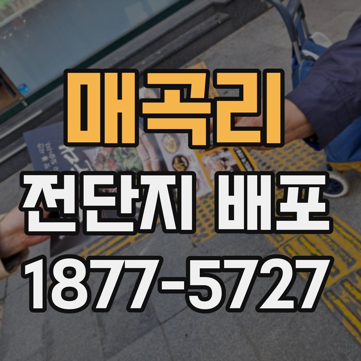 매곡리 전단지 배포