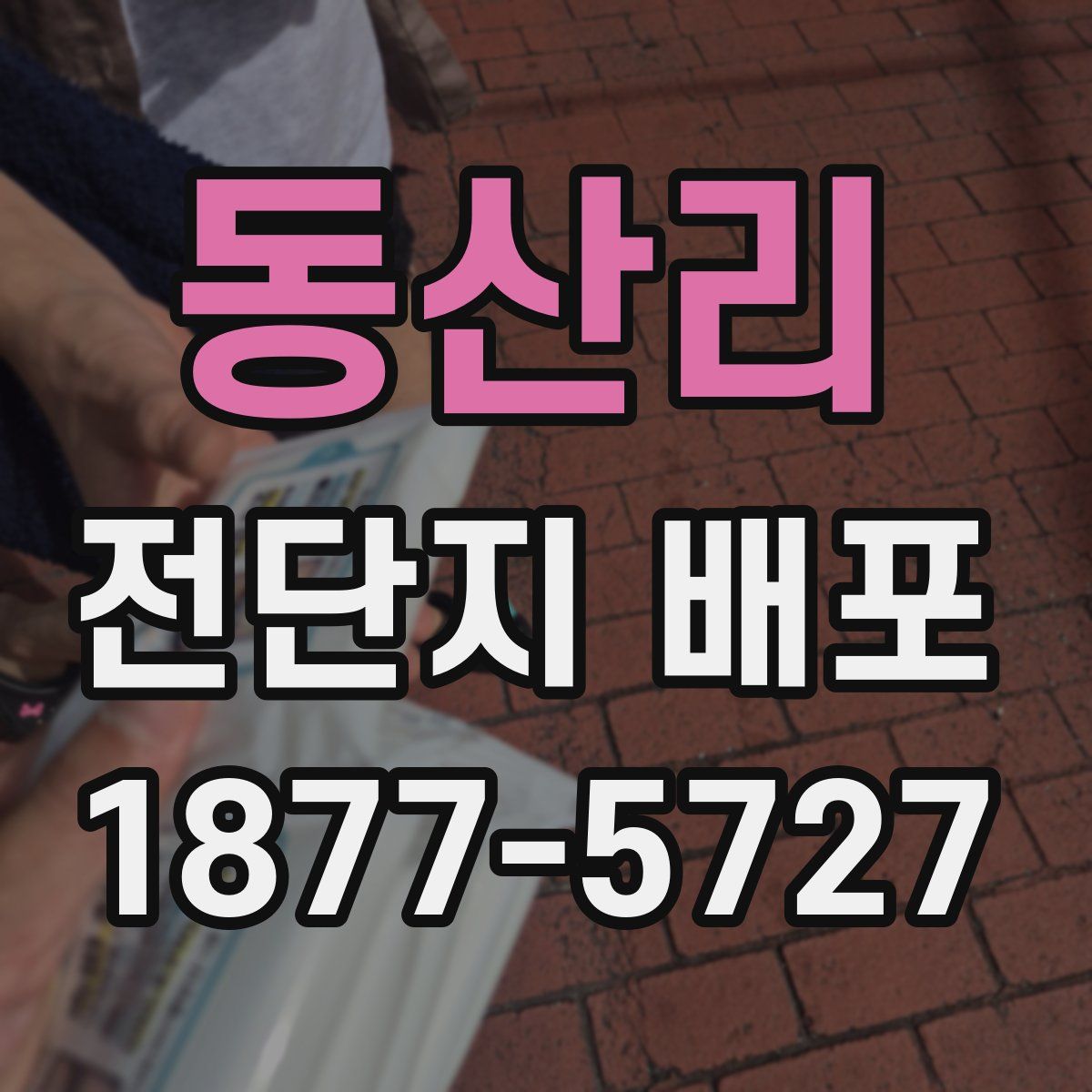 동산리 전단지 배포