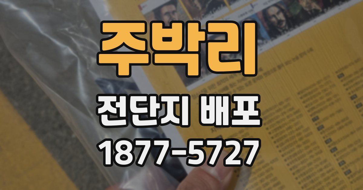 주박리 전단지 배포