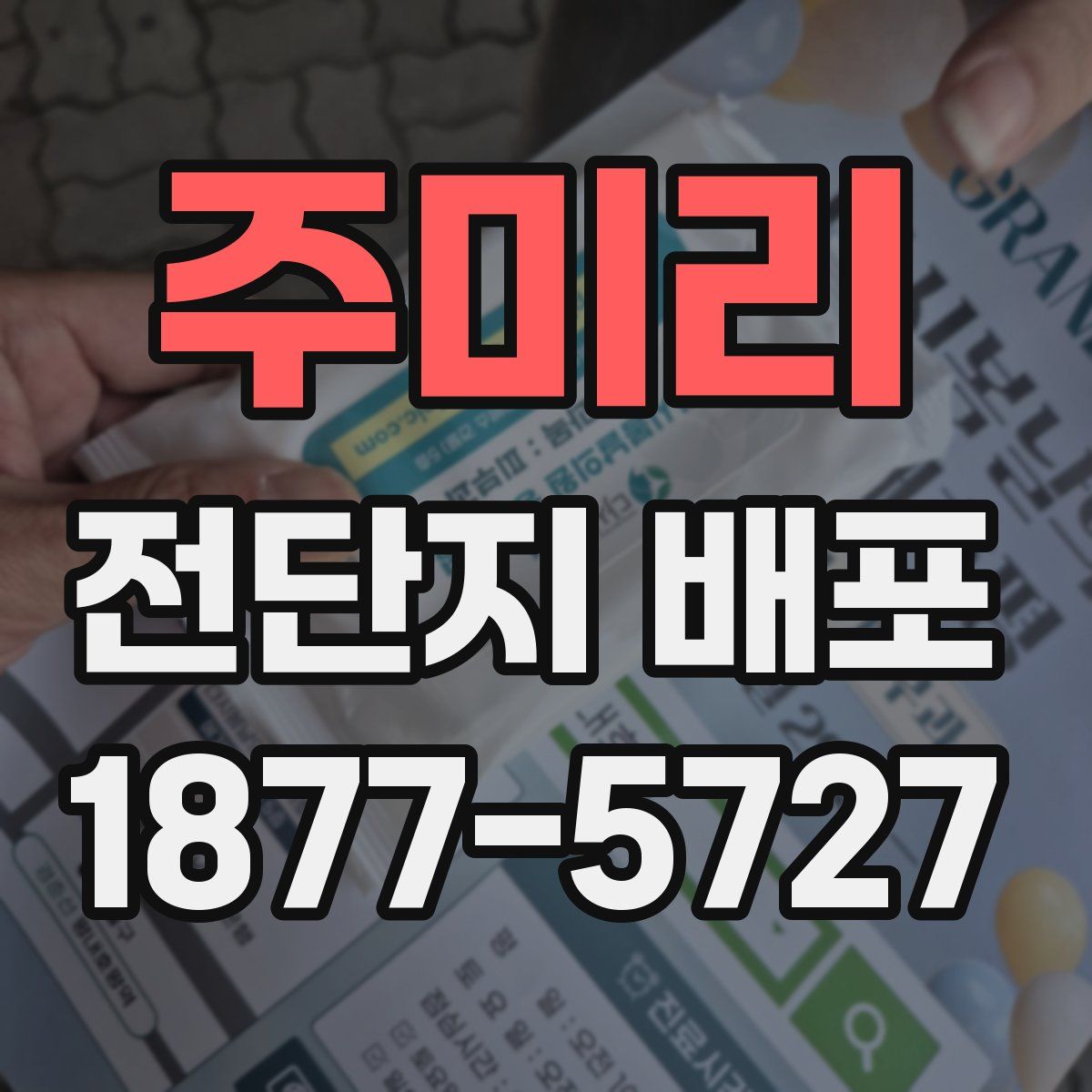 주미리 전단지 배포