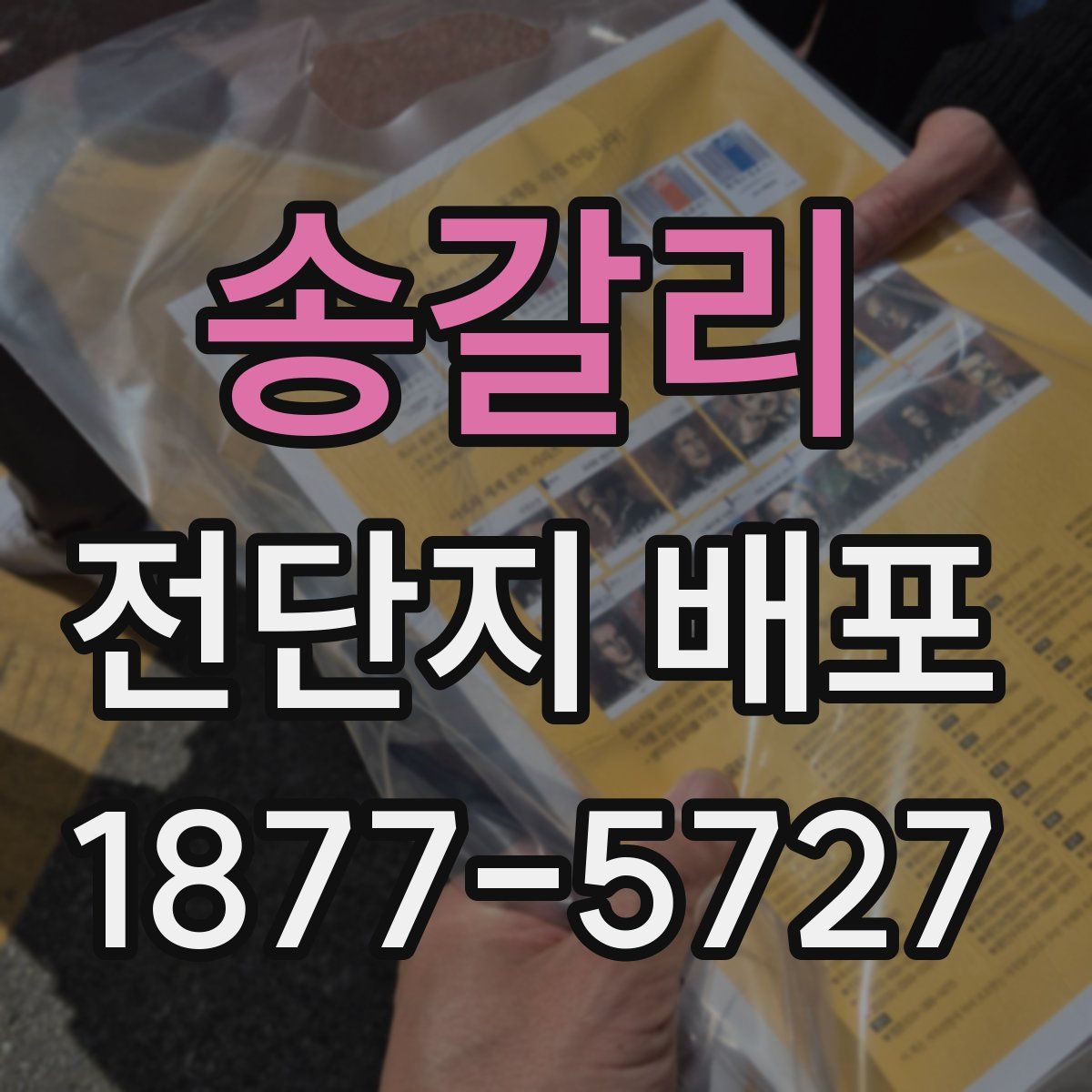 송갈리 전단지 배포