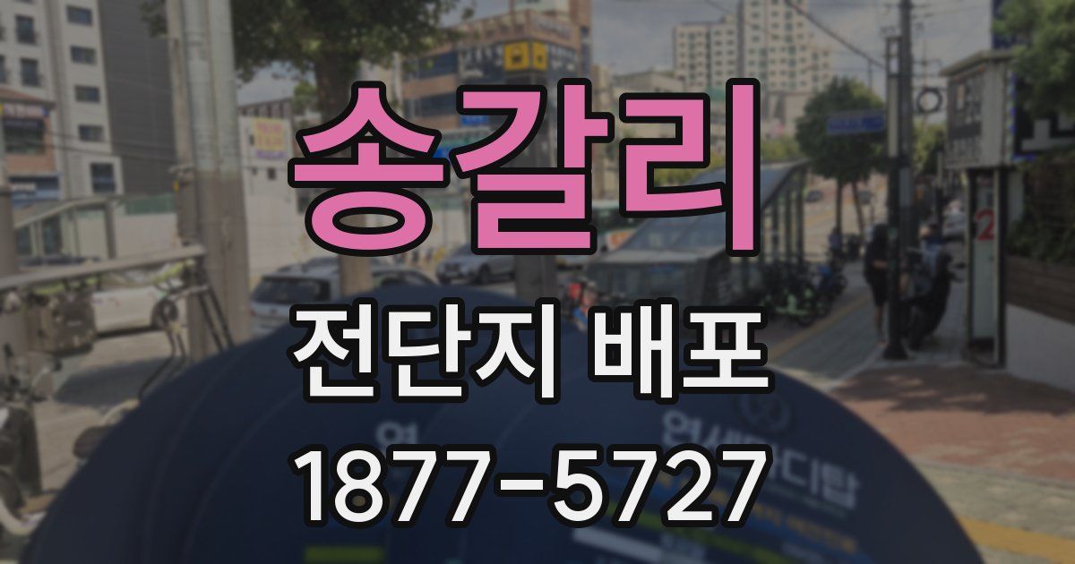 송갈리 전단지 배포