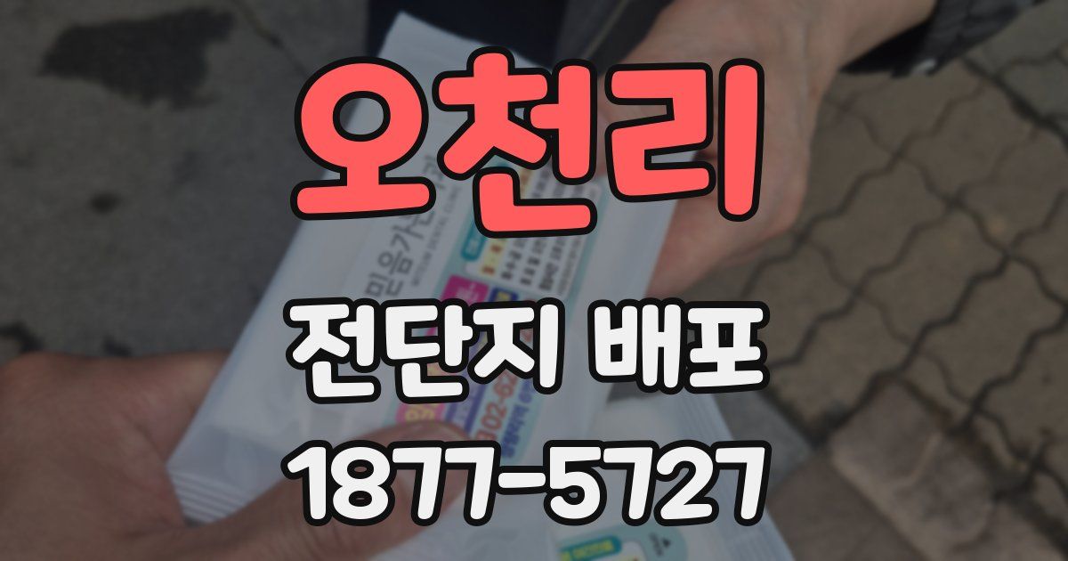 오천리 전단지 배포