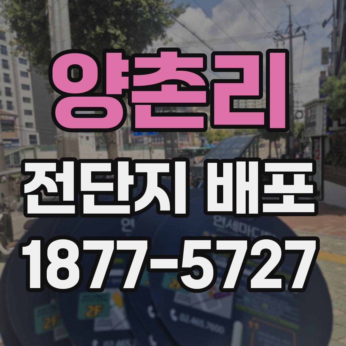 양촌리 전단지 배포