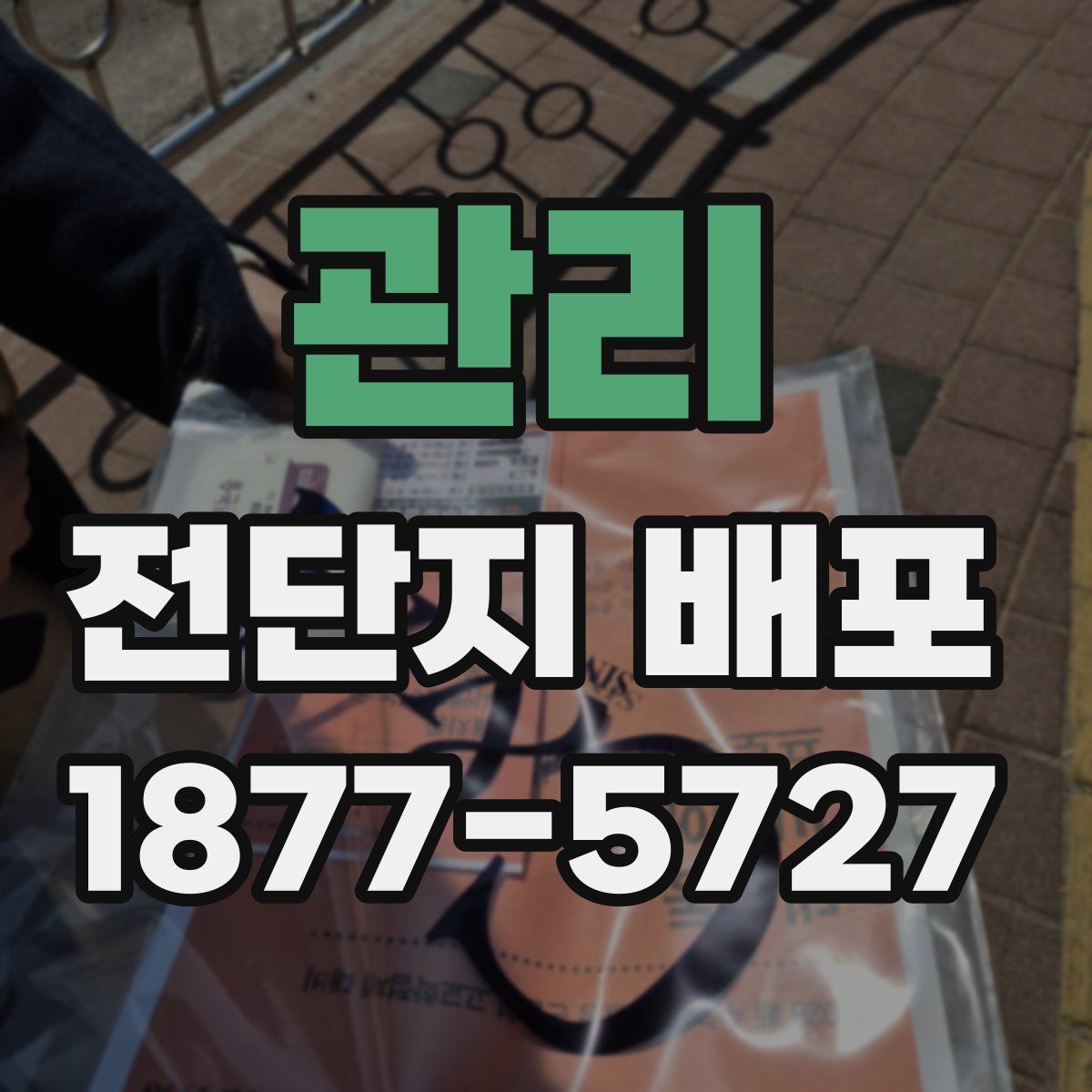 관리 전단지 배포
