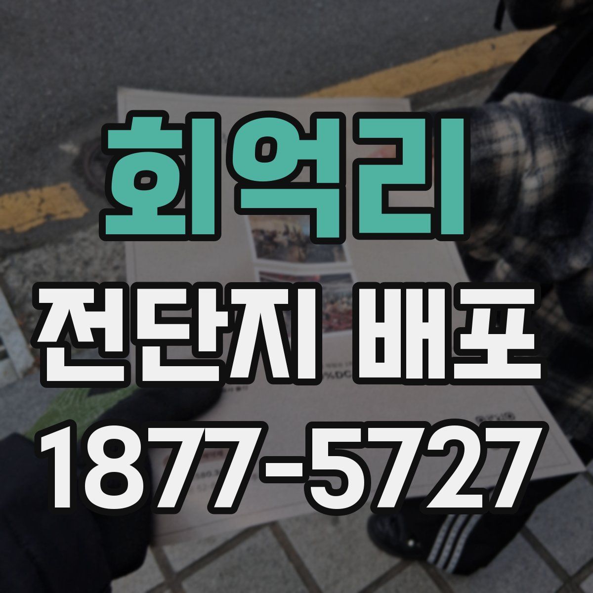 회억리 전단지 배포