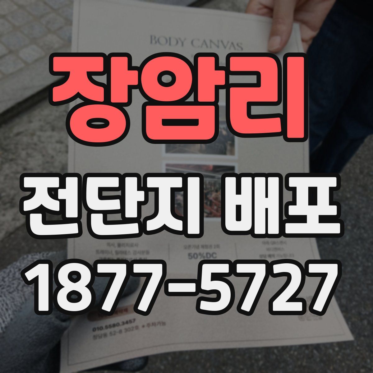 장암리 전단지 배포
